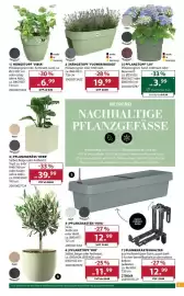 Dehner Flugblatt woche 19 Seite 9