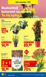 Lidl gazetka Strona 102