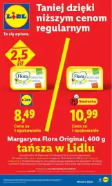 Lidl gazetka Strona 31