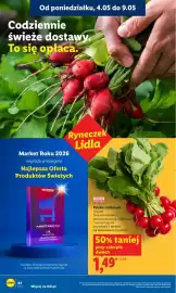 Lidl gazetka Strona 42