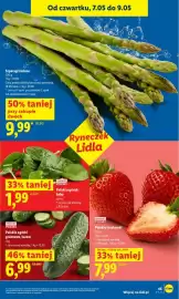 Lidl gazetka Strona 43