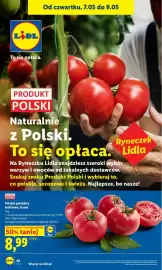 Lidl gazetka Strona 44