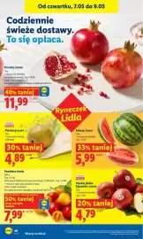Lidl gazetka Strona 46