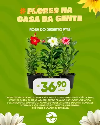 Casagrande (válido até 12-05)