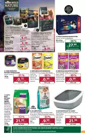 Dehner Flugblatt woche 19 Seite 17