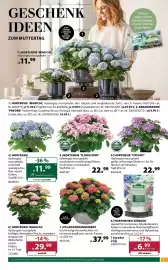 Dehner Flugblatt woche 19 Seite 3
