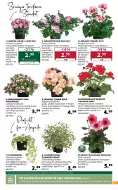 Dehner Flugblatt woche 19 Seite 5
