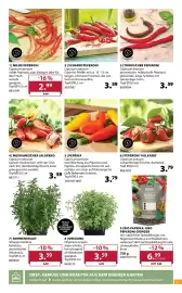 Dehner Flugblatt woche 19 Seite 7