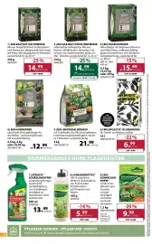 Dehner Flugblatt woche 19 Seite 8