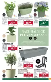 Dehner Flugblatt woche 19 Seite 9