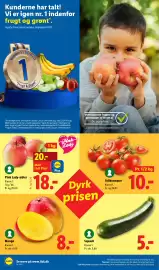 Lidl tilbudsavis uge 20 Side 10