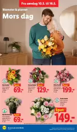 Lidl tilbudsavis uge 20 Side 38