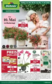 Dehner Prospekt woche 19 Seite 1
