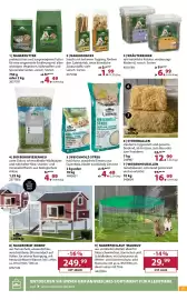 Dehner Prospekt woche 19 Seite 15