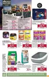 Dehner Prospekt woche 19 Seite 17