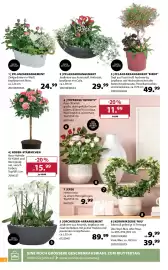 Dehner Prospekt woche 19 Seite 2
