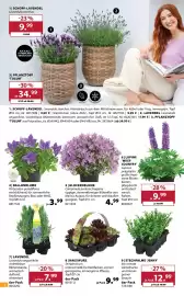 Dehner Prospekt woche 19 Seite 4