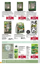 Dehner Prospekt woche 19 Seite 8