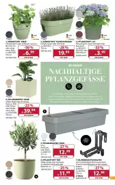 Dehner Prospekt woche 19 Seite 9