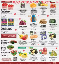 Sunset Foods weekly ad week 19 Page 9