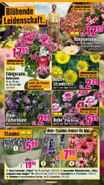 Hornbach Prospekt Seite 10