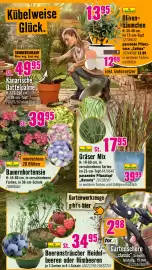 Hornbach Prospekt Seite 11