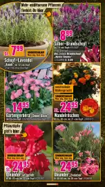 Hornbach Prospekt Seite 12