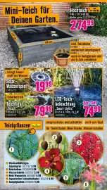 Hornbach Prospekt Seite 13