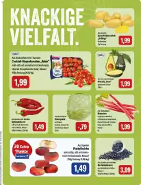 Feneberg Prospekt Seite 5