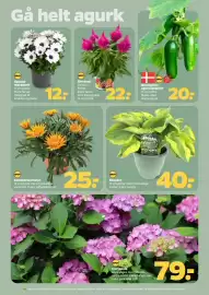 Netto tilbudsavis uge 19 Side 24