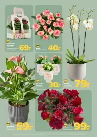 Netto tilbudsavis uge 19 Side 25