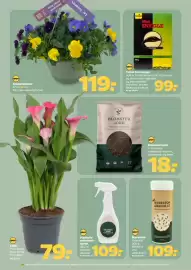 Netto tilbudsavis uge 19 Side 26