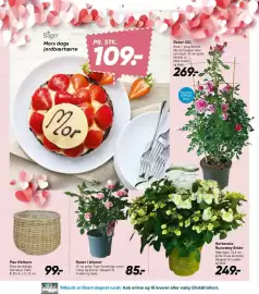 Bilka tilbudsavis uge 19 Side 11