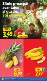 Catalog Lidl săptămâna 20 Pagină 24