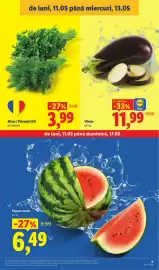 Catalog Lidl săptămâna 20 Pagină 3