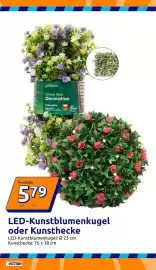 Action Flugblatt woche 19 Seite 10