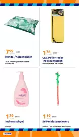 Action Flugblatt woche 19 Seite 27