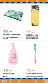 Action Flugblatt woche 19 Seite 27