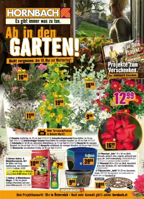 Hornbach (gültig bis 3-06)