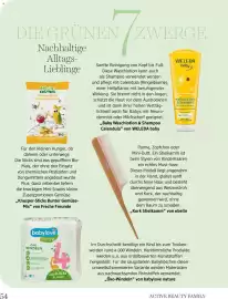 Dm Flugblatt Seite 54