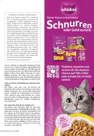 Dm Flugblatt Seite 101