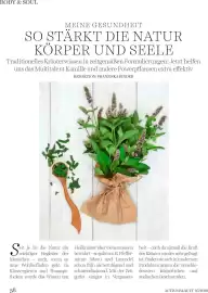 Dm Flugblatt Seite 38