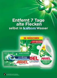 Dm Flugblatt Seite 70