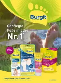 Dm Flugblatt Seite 84