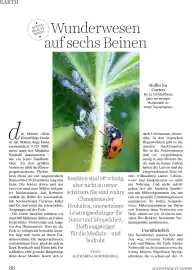 Dm Flugblatt Seite 86
