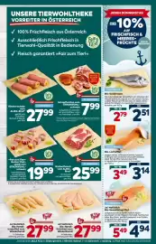 Billa Flugblatt woche 18 Seite 9