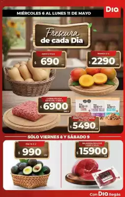 Folleto Supermercados DIA (válido hasta 11-05)