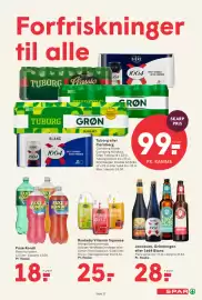 SPAR tilbudsavis uge 19 Side 17
