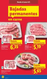 Catálogo Lidl semana 19 Página 4