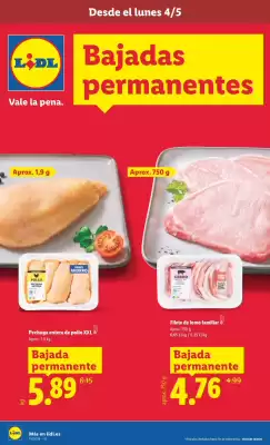 Catálogo Lidl (válido hasta el 10-05)